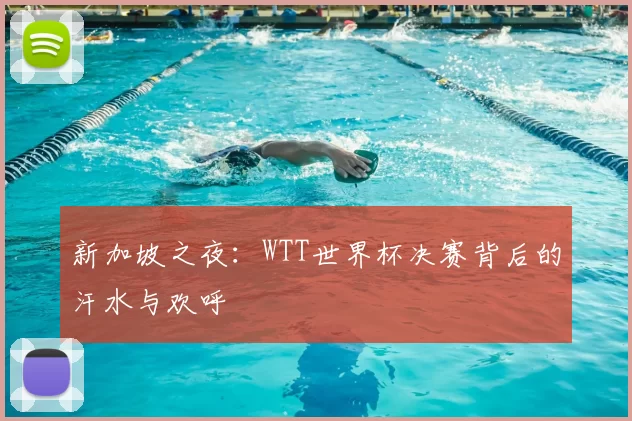 新加坡之夜：WTT世界杯决赛背后的汗水与欢呼