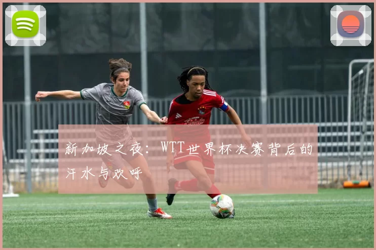 新加坡之夜：WTT世界杯决赛背后的汗水与欢呼