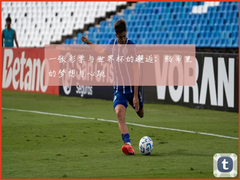 一张彩票与世界杯的邂逅:赔率里的梦想与心跳
