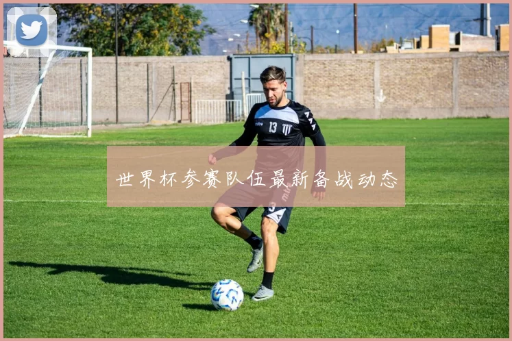 世界杯参赛队伍最新备战动态