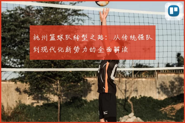 杭州篮球队转型之路：从传统强队到现代化新势力的全面解读