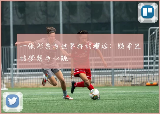 一张彩票与世界杯的邂逅：赔率里的梦想与心跳