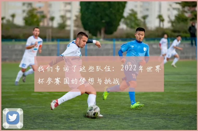 我们专访了这些队伍:2022年世界杯参赛国的梦想与挑战