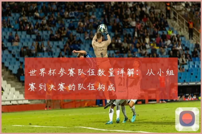 世界杯参赛队伍数量详解:从小组赛到决赛的队伍构成
