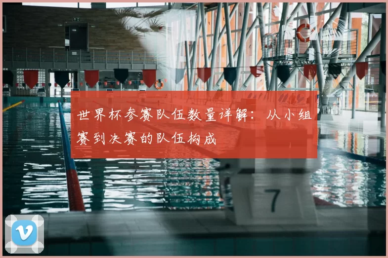 世界杯参赛队伍数量详解:从小组赛到决赛的队伍构成