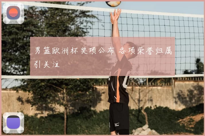 男篮欧洲杯奖项公布 各项荣誉归属引关注