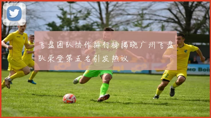 飞盘团队协作排行榜揭晓广州飞盘队荣登第五名引发热议